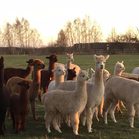 Spreewald-Ferienwohnung Reschke Radensdorf Bagian luar foto