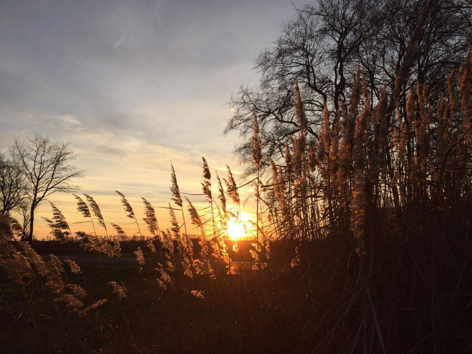 Spreewald-Ferienwohnung Reschke Radensdorf Bagian luar foto